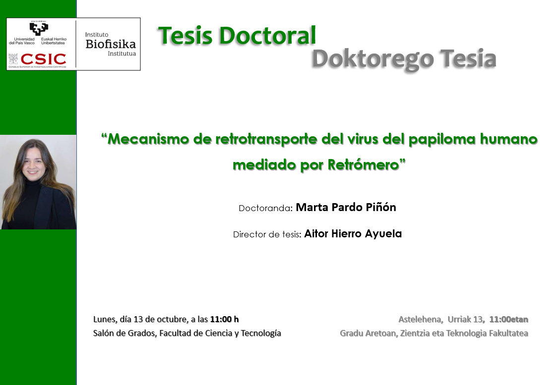 IBF Doctoral Thesis: "Mecanismo de retrotransporte del virus del papiloma humano mediado por Retrómero" IBF Doctoral Thesis: "Mecanismo de retrotransporte del virus del papiloma humano mediado por Retrómero"
