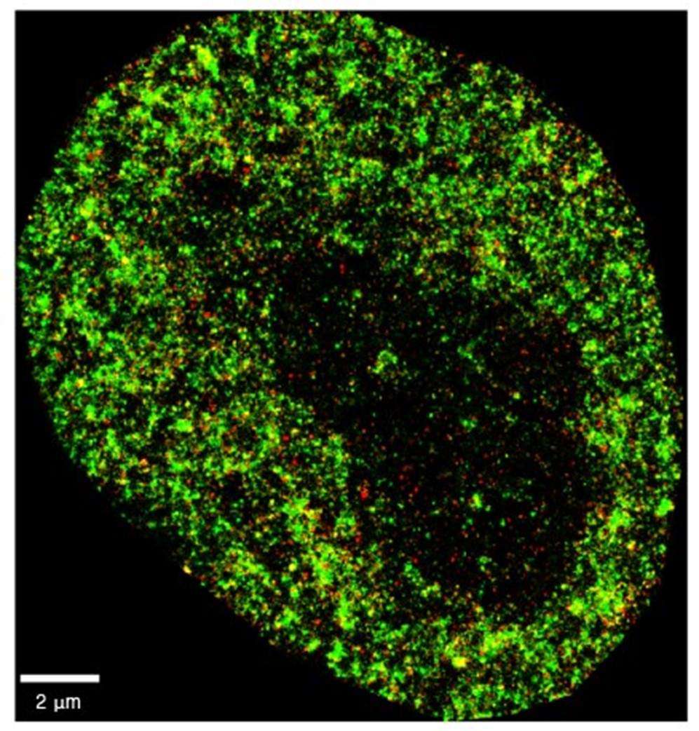 AI Spots Cancer and Viral Infections at Nanoscale Precision