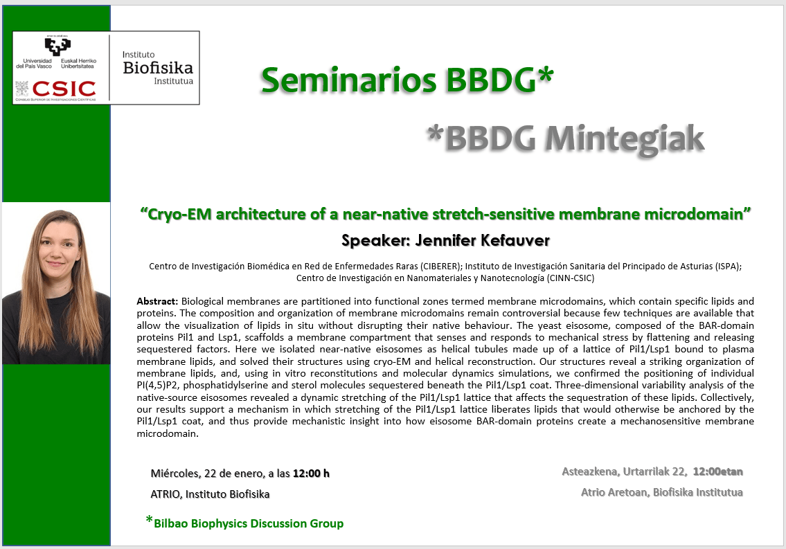 BBDG Seminar: "Cryo-EM architecture of a near-native stretch-sensitive membrane microdomain"