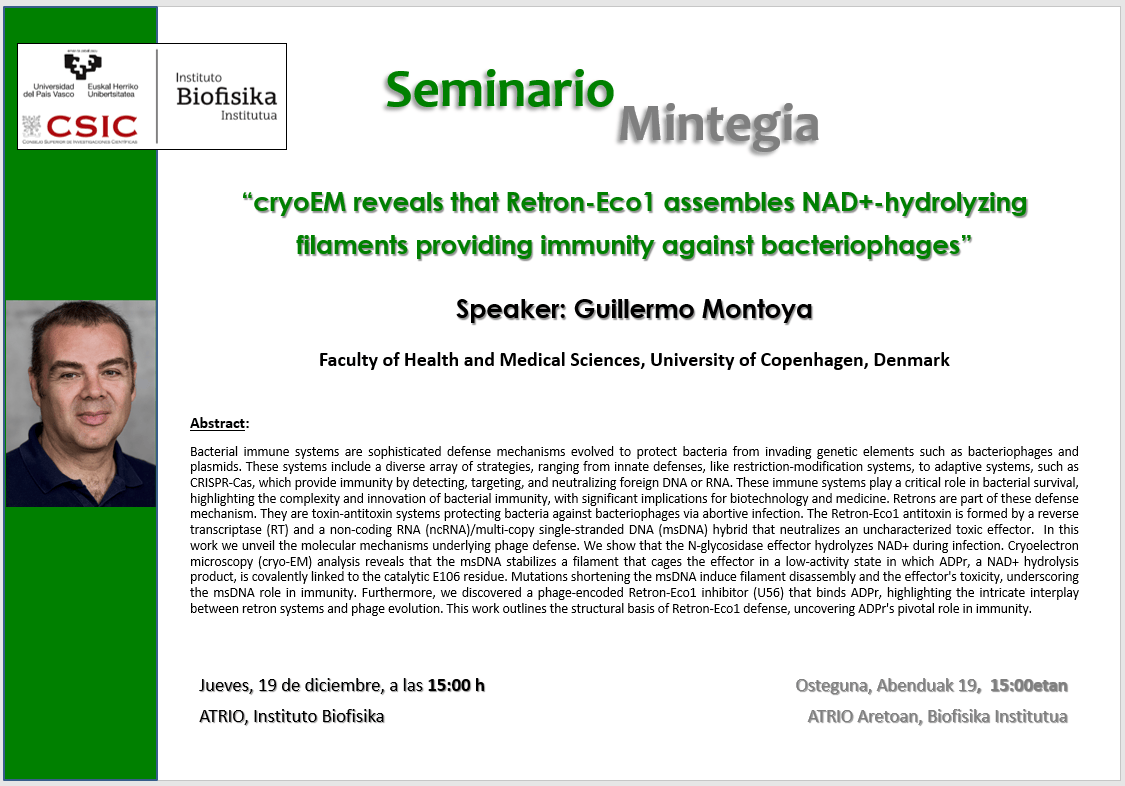 IBF Seminar: "cryoEM reveals that Retron-Eco1 assembles NAD+-hydrolyzing filaments providing immunity against bacteriophages"